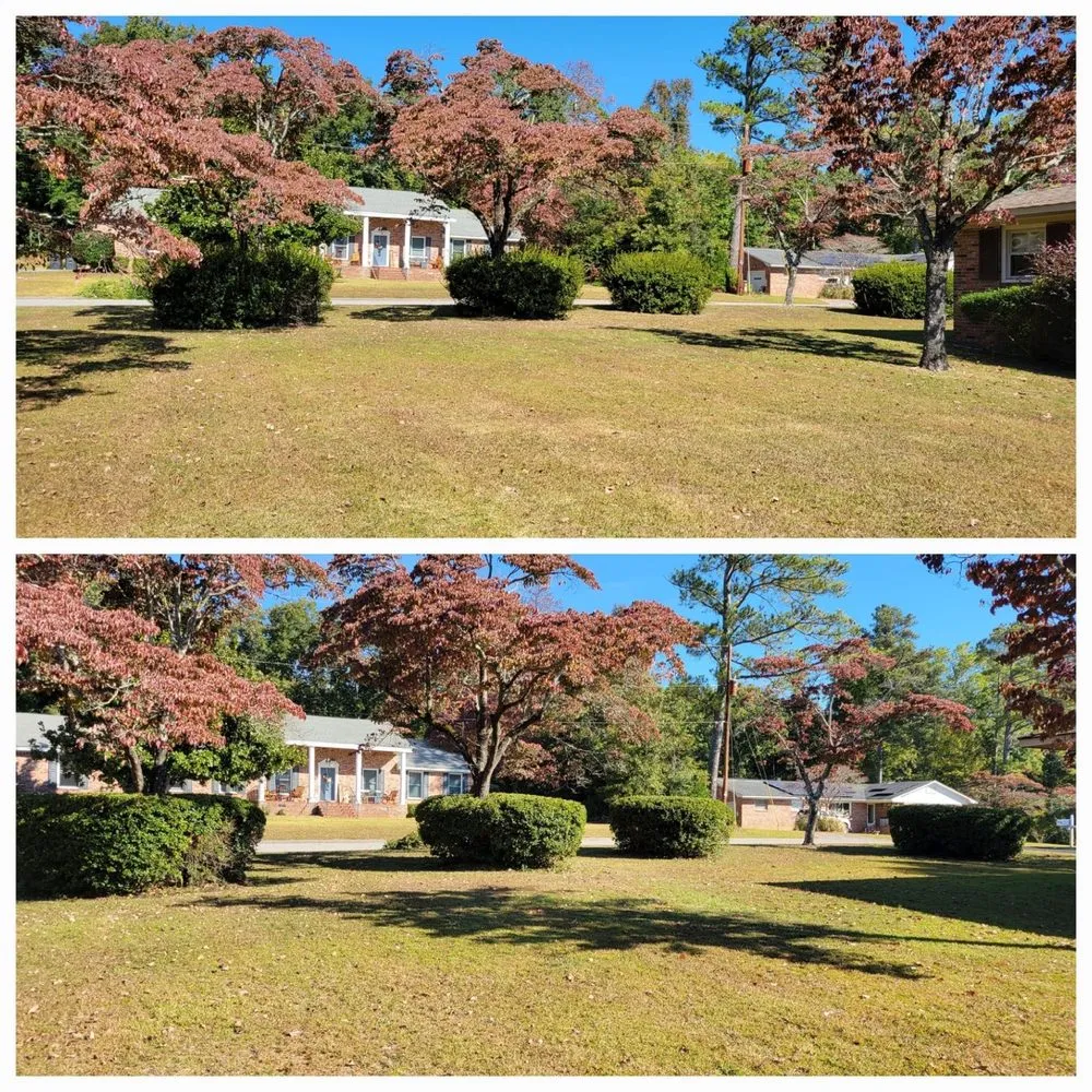 Custom lawn care service experts serving Gilbert, SC - S&D Lawn & Landscape