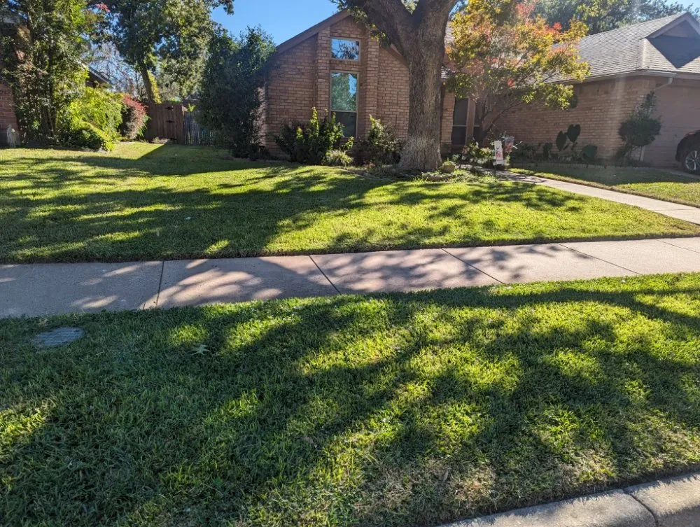 Custom landscape installation in Arlington, TX by SD Lawn Care
