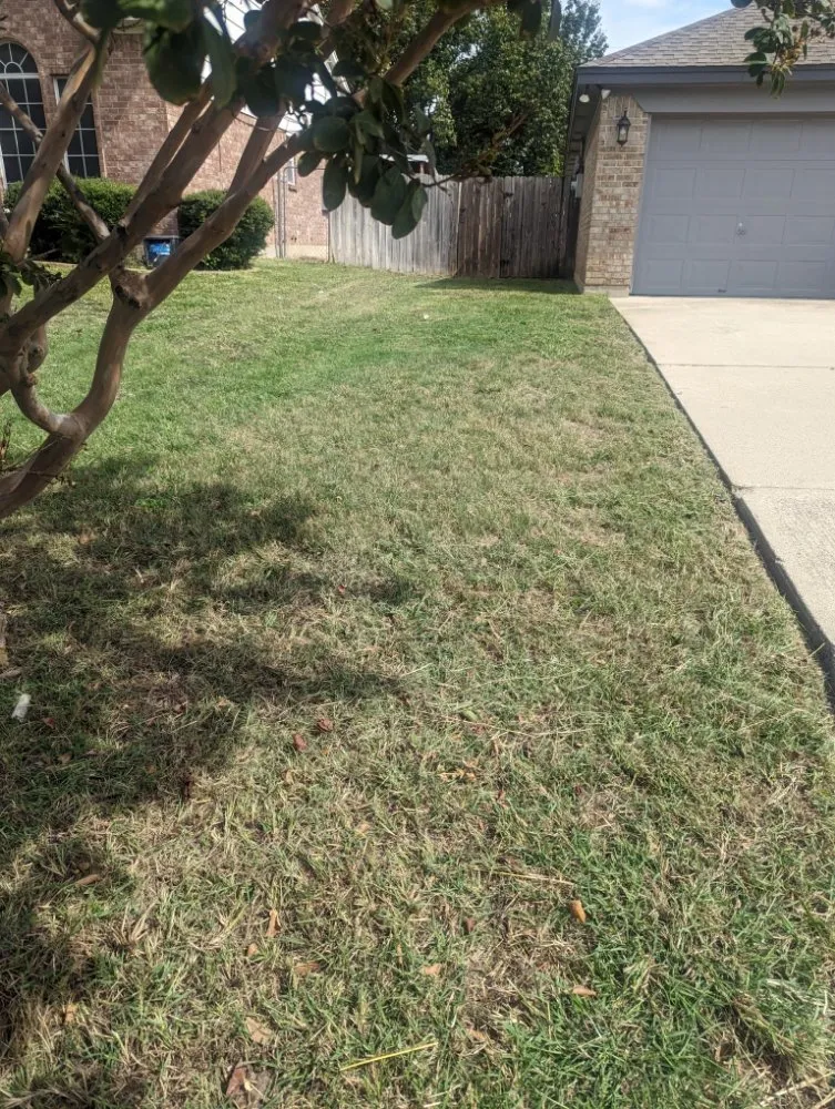 Custom garden landscaping in Arlington, TX by SD Lawn Care