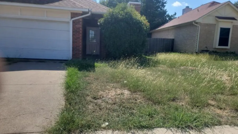 Expert yard maintenance for beautiful yards across Arlington, TX - SD Lawn Care