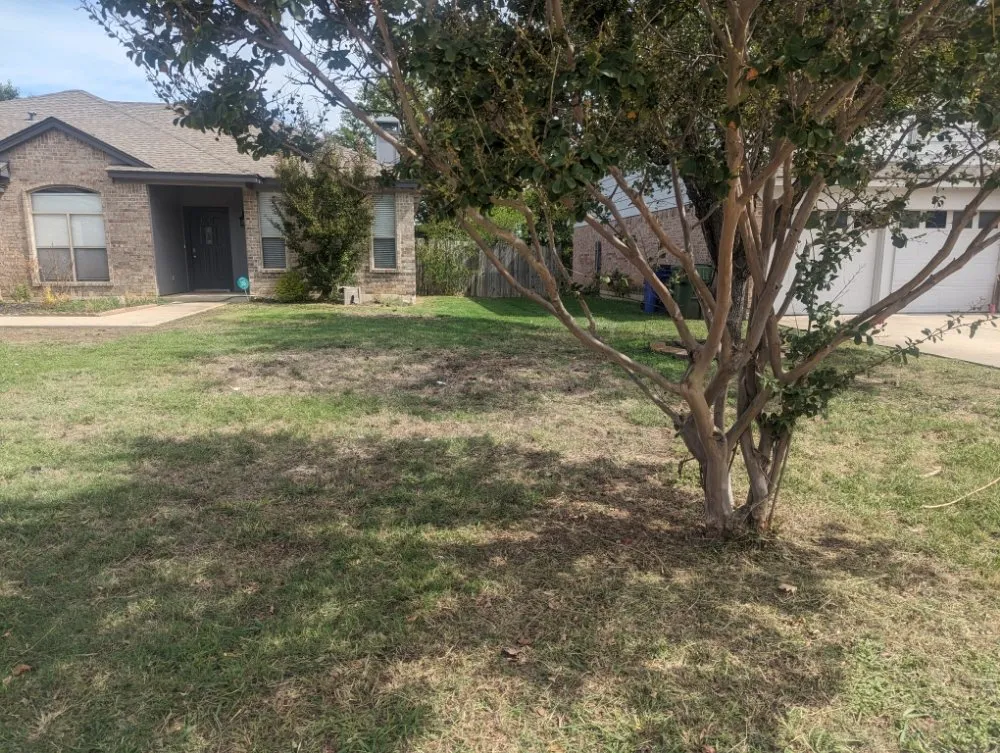 Local landscape design in Arlington, TX - SD Lawn Care