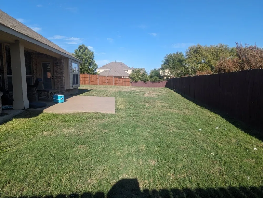 Expert yard cleanup service for outdoor upgrades across Arlington, TX - SD Lawn Care