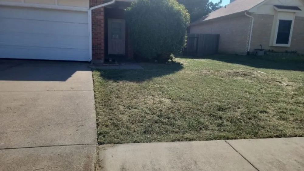 Professional outdoor landscaping in Arlington, TX - SD Lawn Care