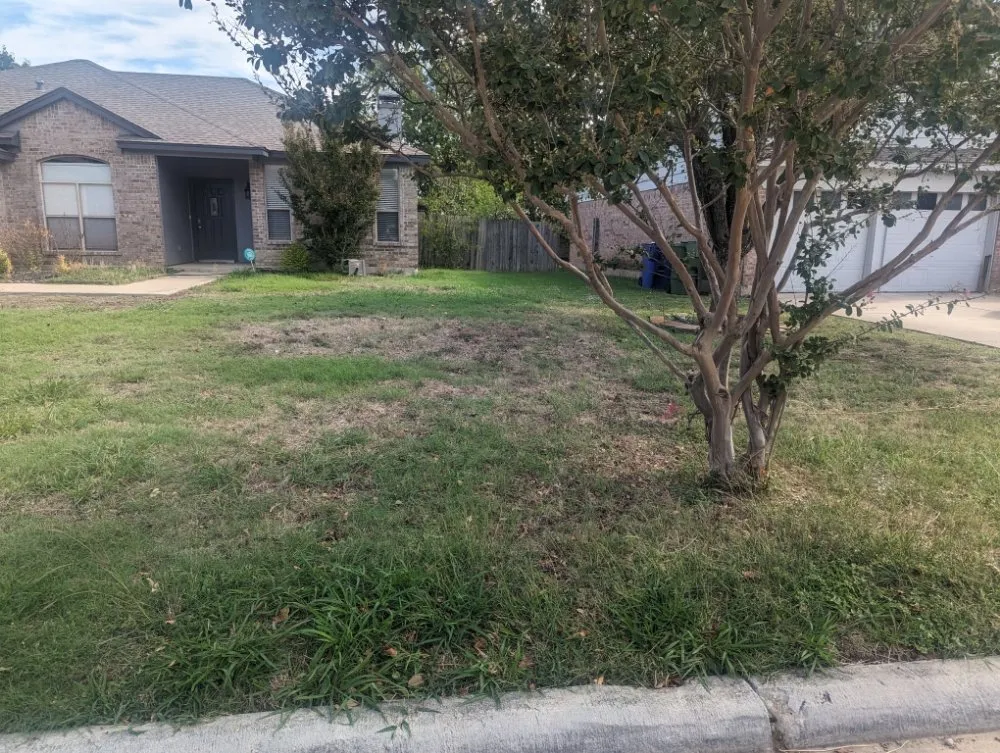 Local landscape design in Arlington, TX by SD Lawn Care