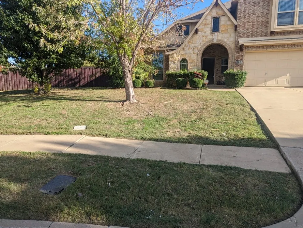 Affordable landscape design for homes across Arlington, TX - SD Lawn Care