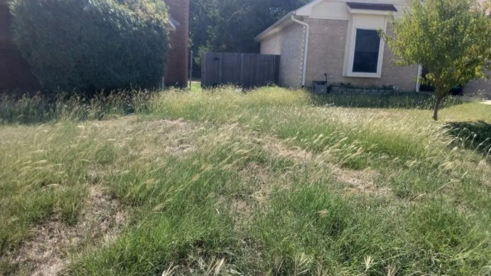 Top-rated yard cleanup service for beautiful yards in Arlington, TX by SD Lawn Care