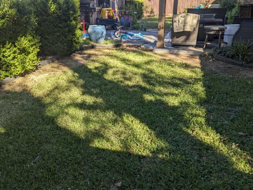 Top-rated outdoor landscaping in Arlington, TX by SD Lawn Care