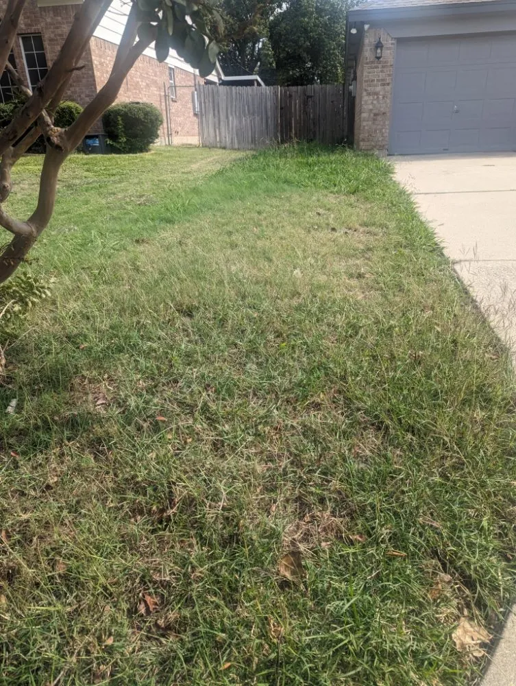 Expert yard maintenance experts serving Arlington, TX - SD Lawn Care