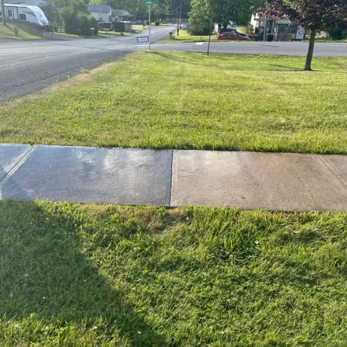 Local yard cleanup service near you across Beech Creek, PA - SD Lawn Care