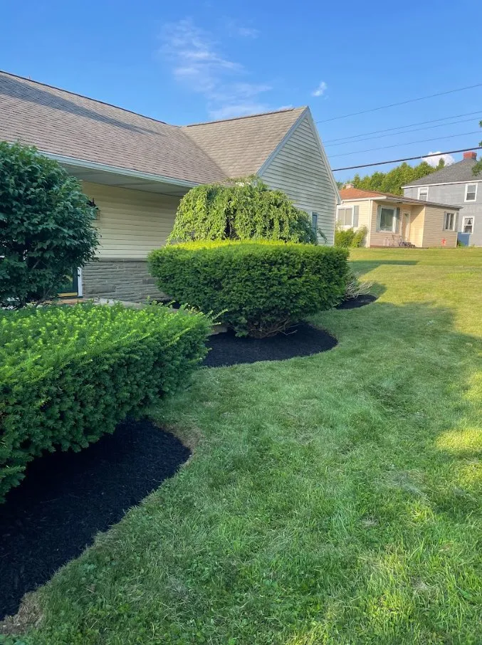 Local yard cleanup service in Beech Creek, PA - SD Lawn Care
