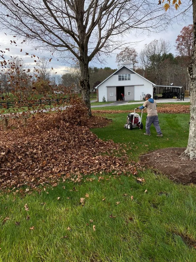 Custom yard cleanup service in Crossville, TN by S&D Lawn Care