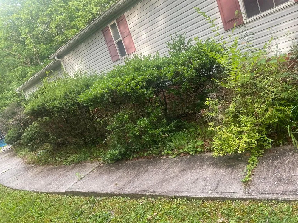 Custom yard cleanup service in Crossville, TN - S&D Lawn Care