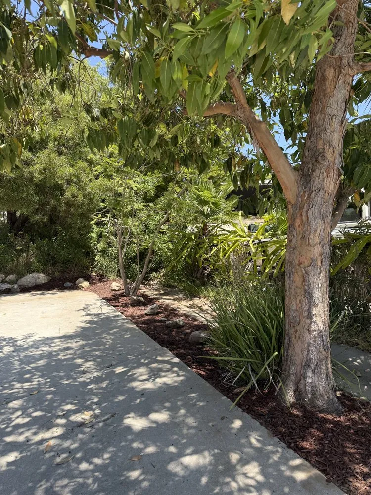 Local residential landscaping in Jamul, CA - SD Mulch and More