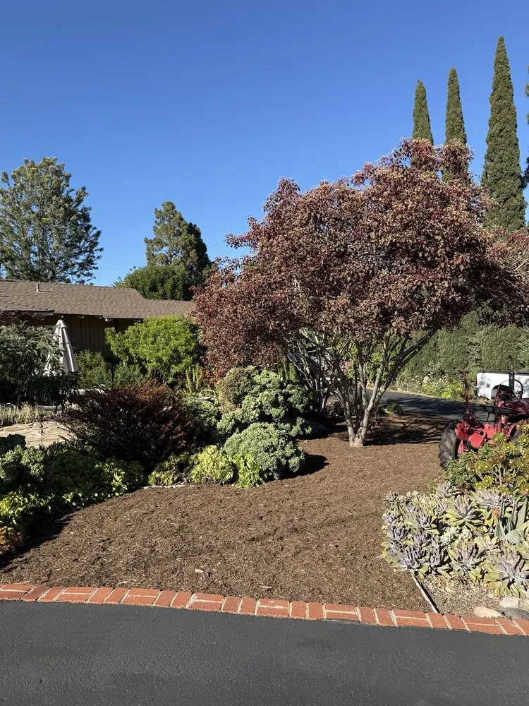 Top-rated landscape installation in Jamul, CA - SD Mulch and More
