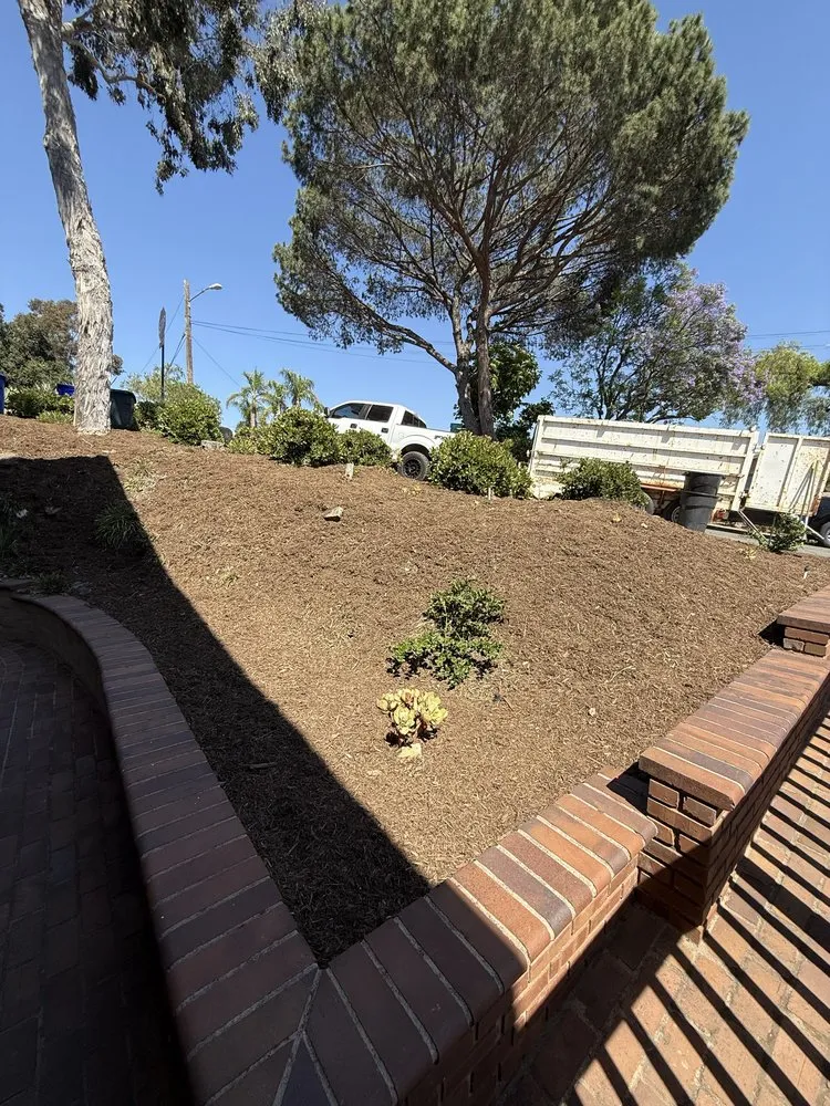 Top-rated landscape design for outdoor upgrades across Jamul, CA - SD Mulch and More