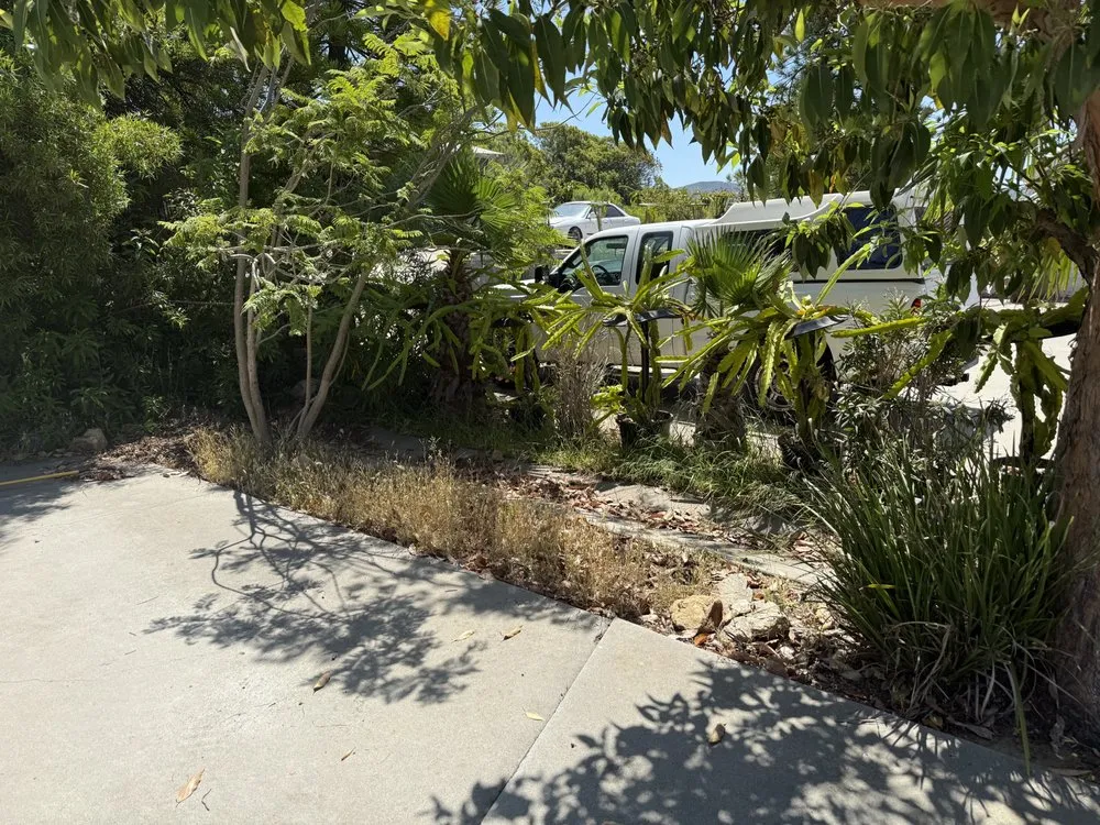 Professional landscaping services for homes across Jamul, CA - SD Mulch and More