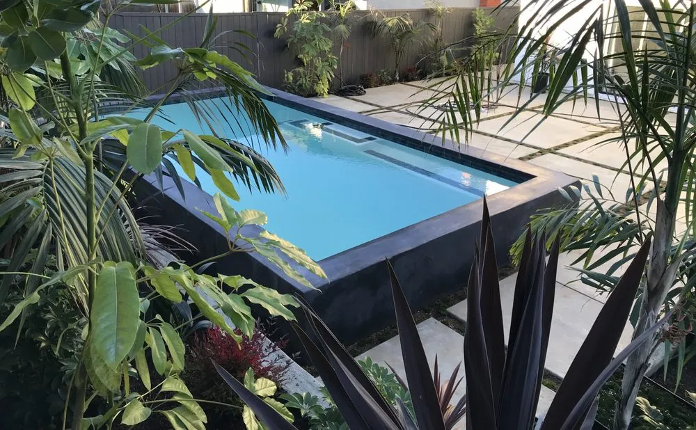 Local yard cleanup service experts serving Vista, CA - SD Outdoor Scapes