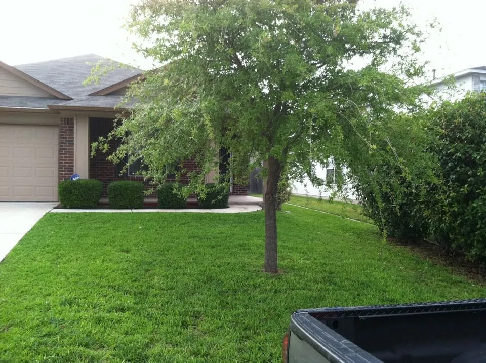 Custom lawn care service experts serving Hutto, TX - S&D Outdoor Services
