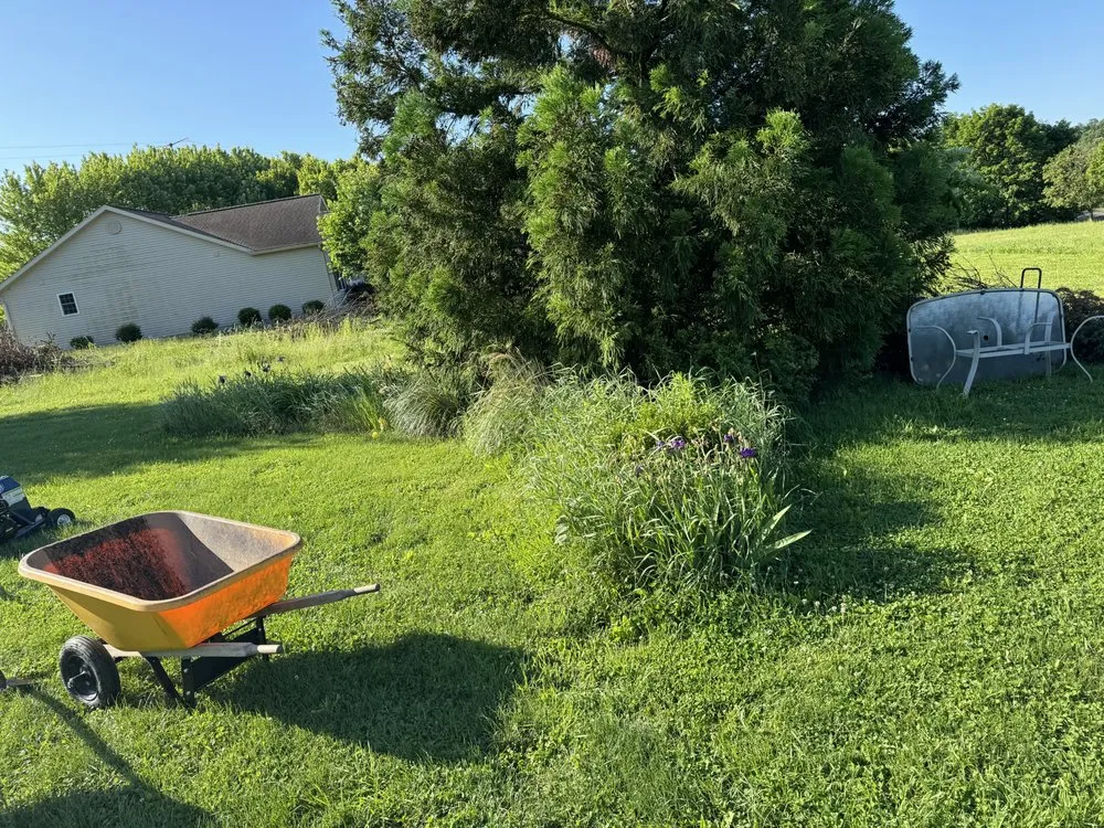 Affordable landscaping services for homes across Selinsgrove, PA - SD Property Maintenance