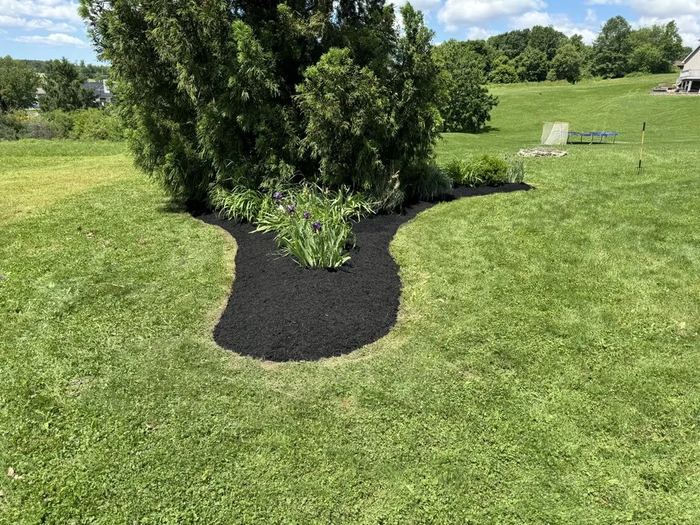 Local lawn mowing service experts serving Selinsgrove, PA - SD Property Maintenance