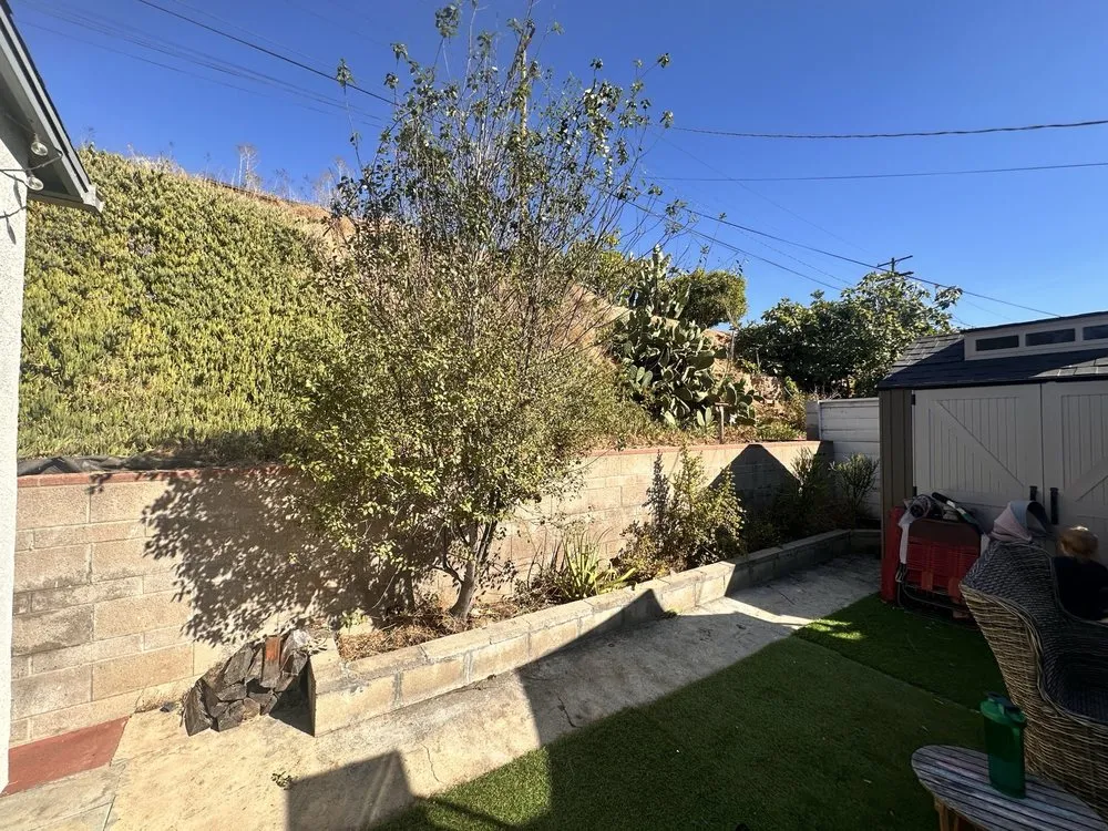 Trusted yard cleanup service in San Diego, CA - SD Pure Organics