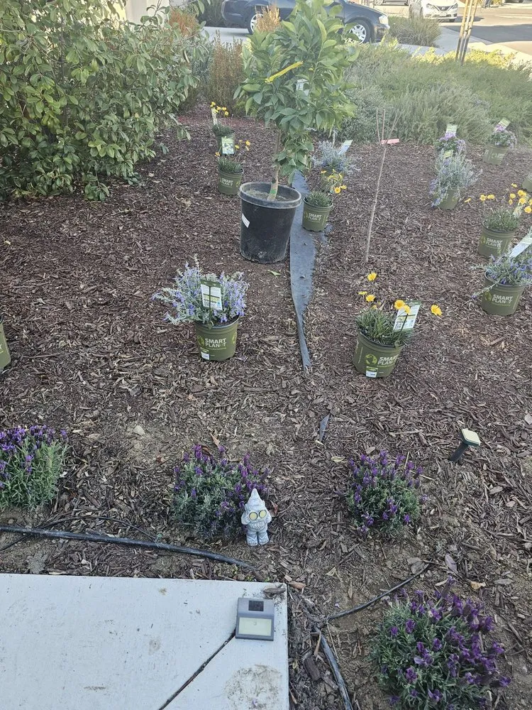 Professional yard maintenance experts serving San Diego, CA - SD Pure Organics