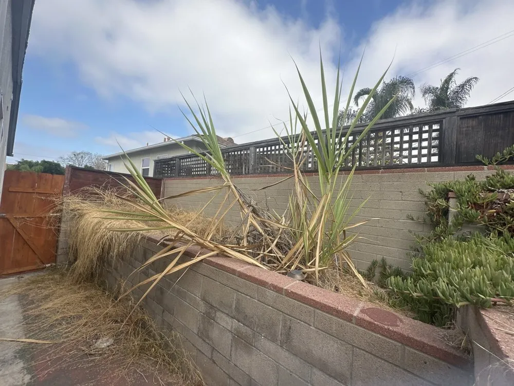 Local yard cleanup service with custom design across San Diego, CA - SD Pure Organics