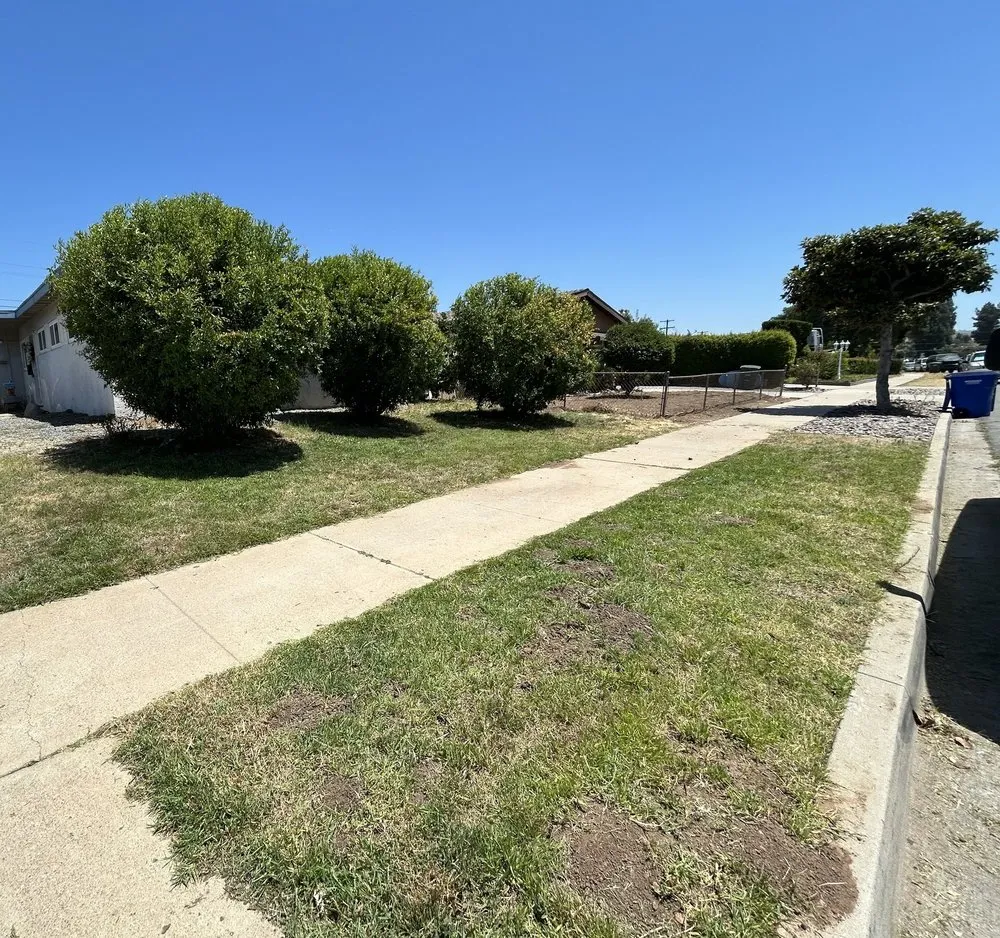 Reliable garden landscaping in San Diego, CA by SD Pure Organics