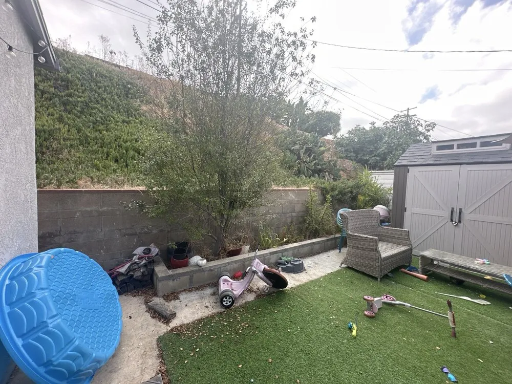 Expert yard cleanup service in San Diego, CA by SD Pure Organics