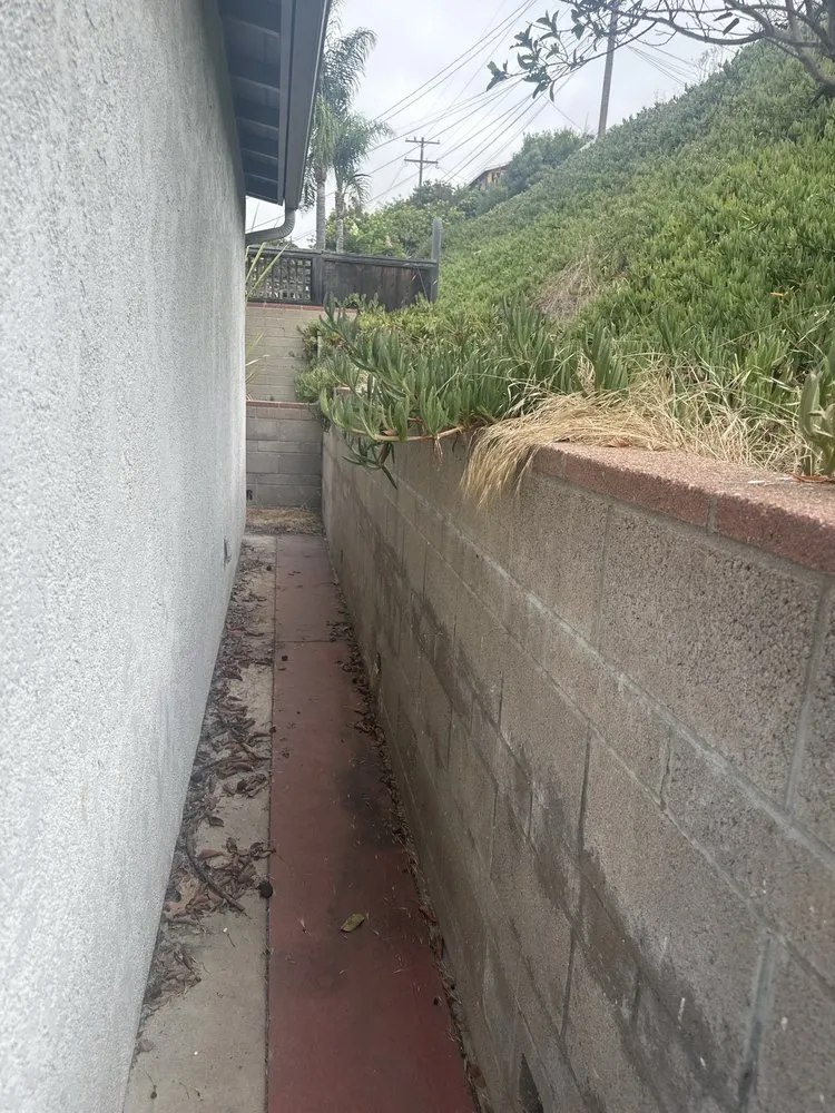 Trusted lawn care service experts serving San Diego, CA - SD Pure Organics