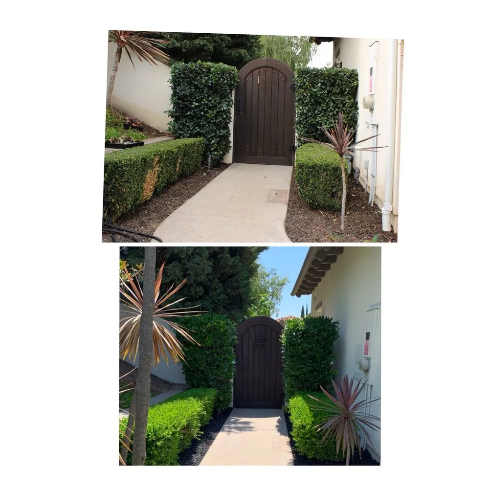 Professional landscaping services in San Diego, CA by SD Pure Organics