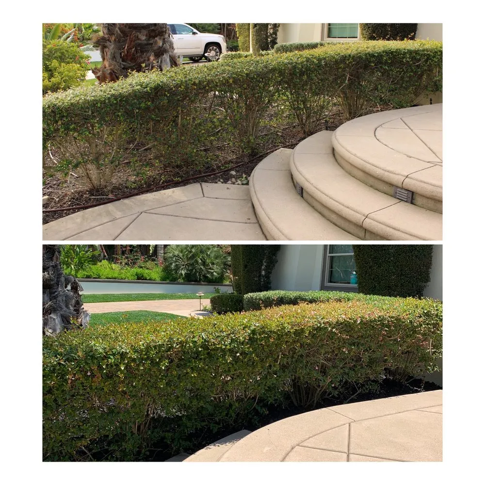 Custom residential landscaping for year-round maintenance in San Diego, CA by SD Pure Organics