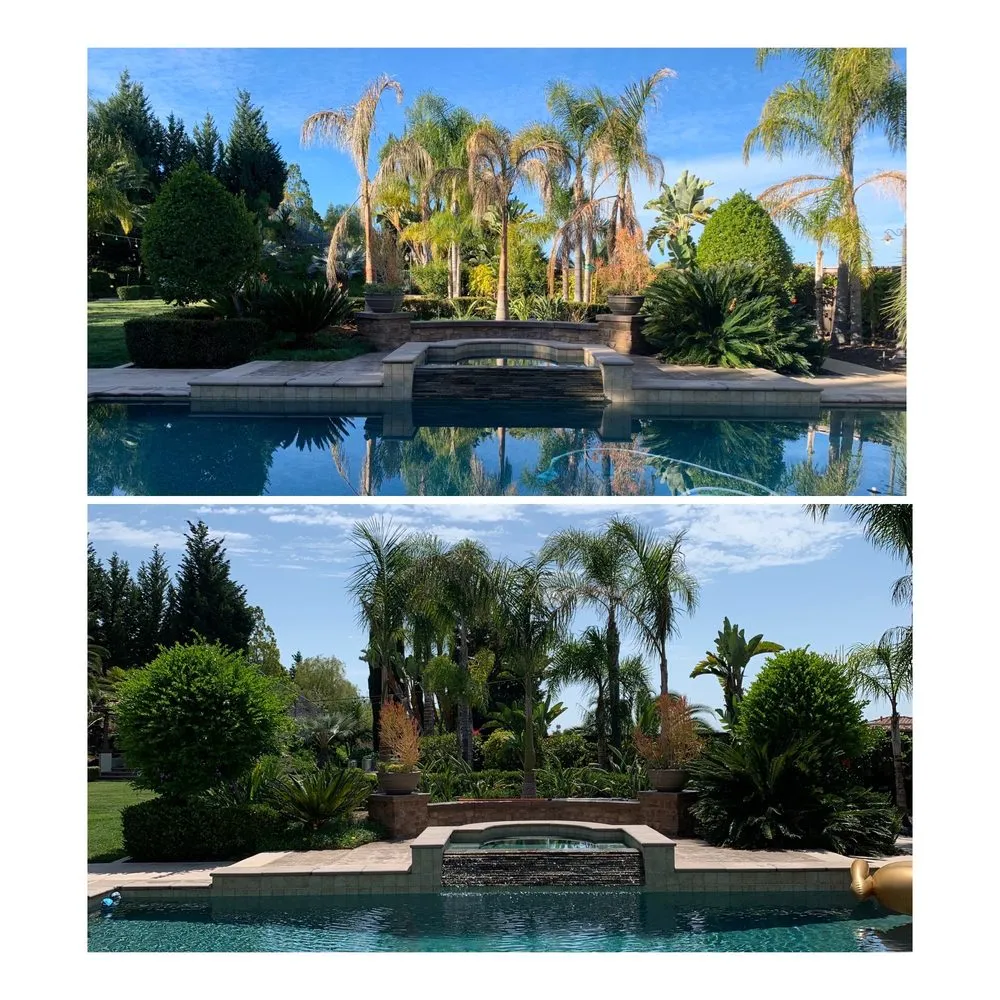 Top-rated outdoor landscaping experts serving San Diego, CA - SD Pure Organics