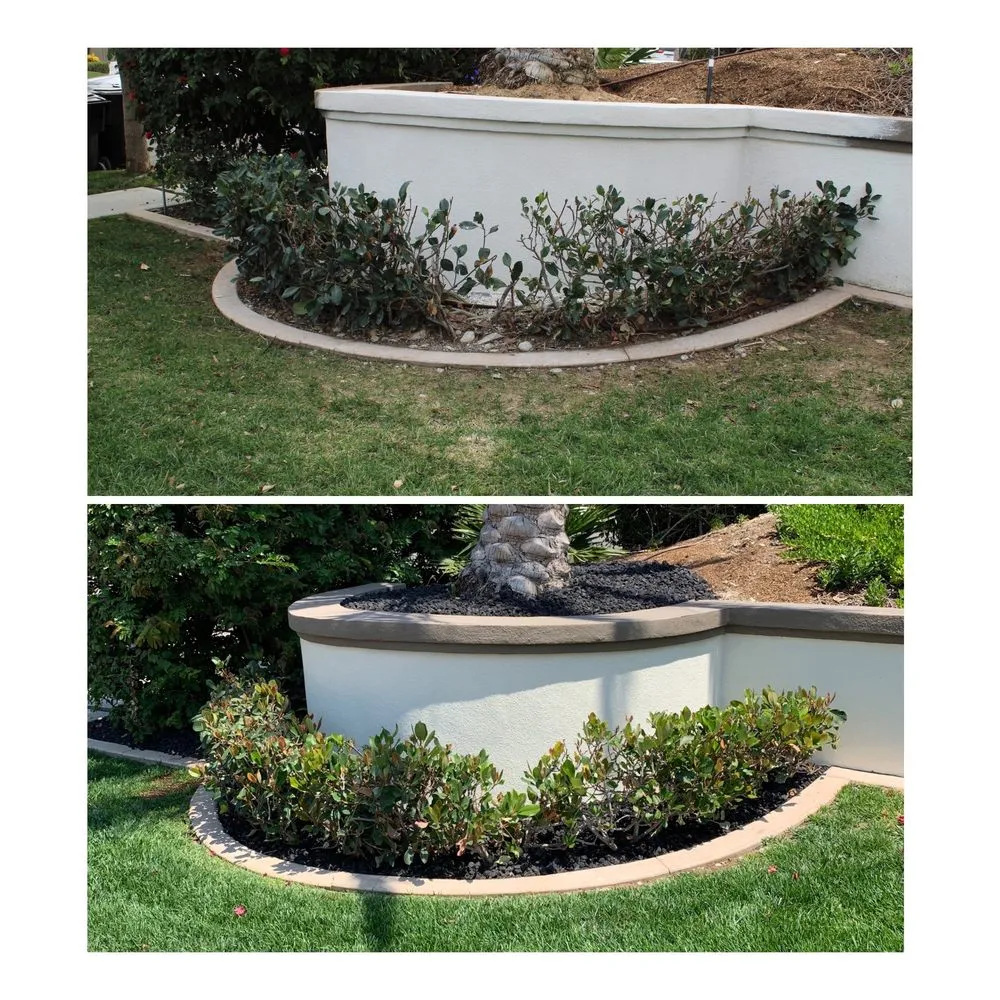 Professional lawn mowing service for residential properties across San Diego, CA - SD Pure Organics