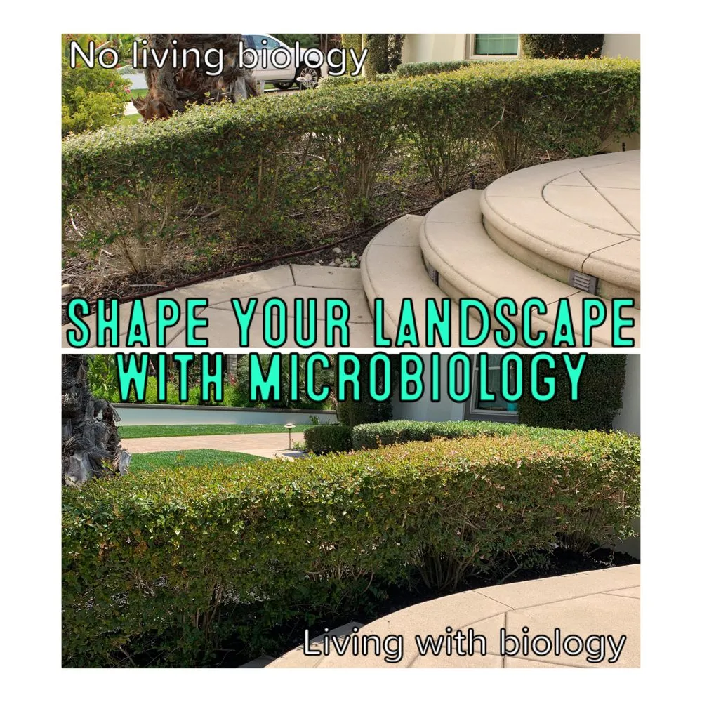 Professional garden landscaping in San Diego, CA - SD Pure Organics