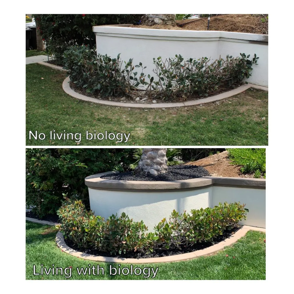 Trusted lawn care service in San Diego, CA - SD Pure Organics