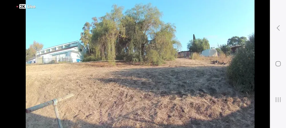 Affordable yard maintenance for year-round maintenance in San Diego, CA by SD Pure Organics