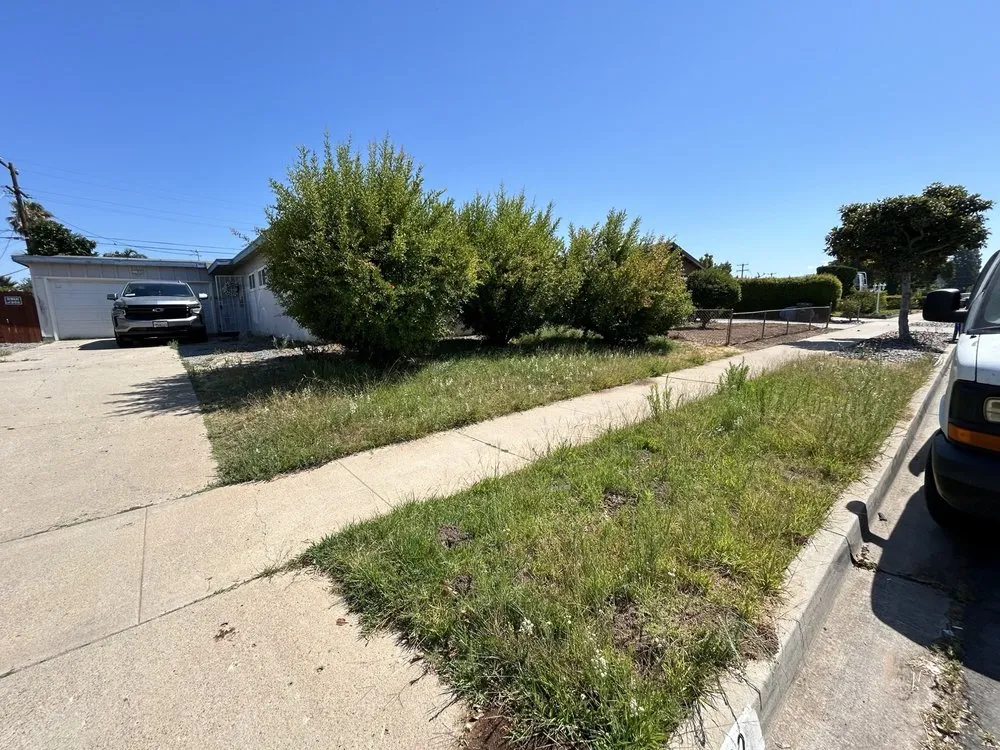 Top-rated lawn mowing service in San Diego, CA by SD Pure Organics