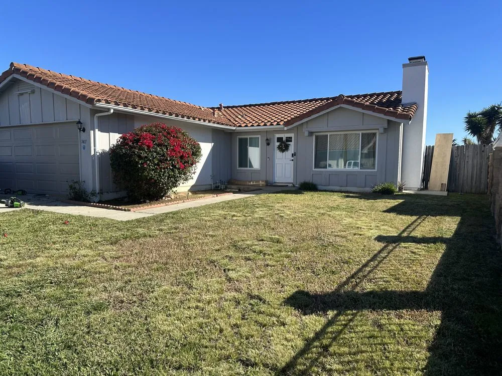 Affordable outdoor landscaping in San Diego, CA by SD Pure Organics