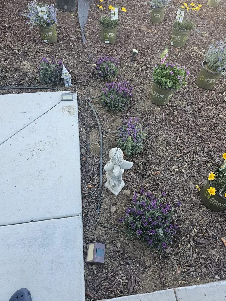 Professional lawn care service in San Diego, CA by SD Pure Organics