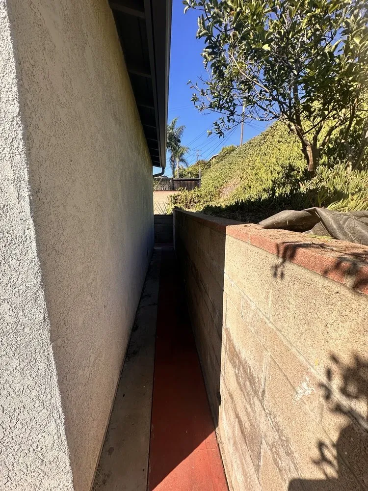 Professional yard cleanup service in San Diego, CA - SD Pure Organics