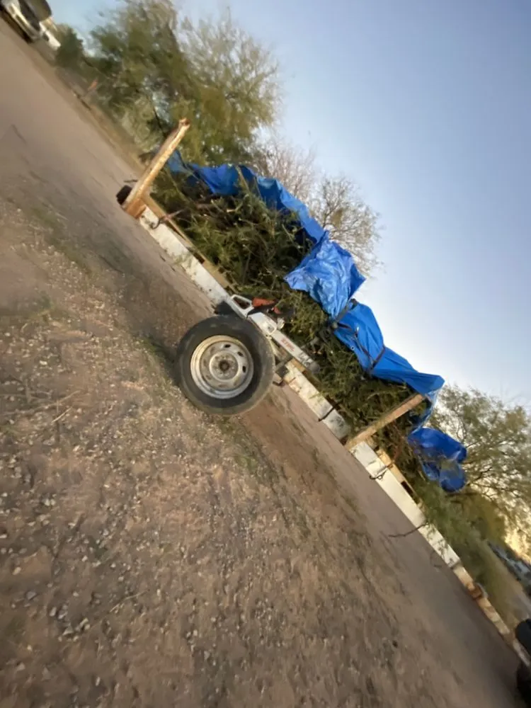 Local landscaping services experts serving Marana, AZ - S&D Tree Removal Landscaping