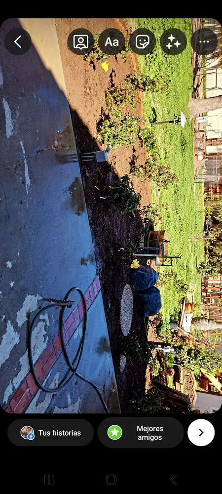 Trusted landscaping services for homes in Panorama City, CA by S.De Rosas Landscaping