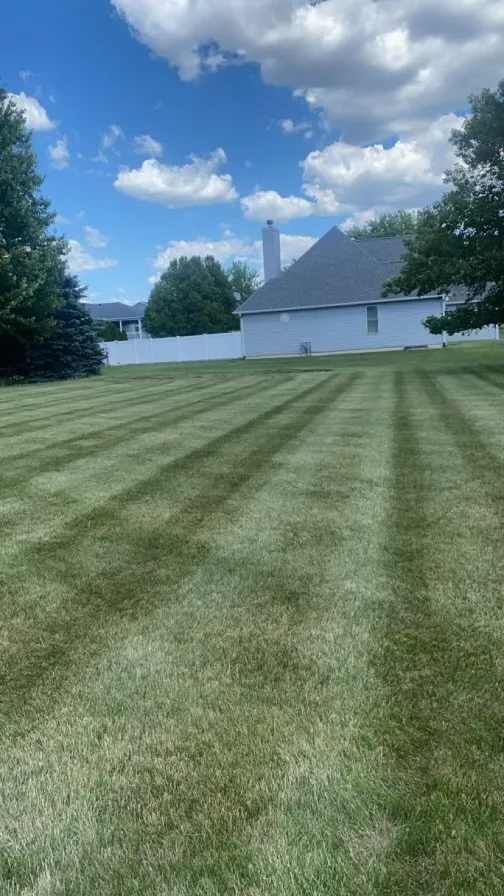 Affordable landscape design experts serving Toluca, IL - Sdf Services