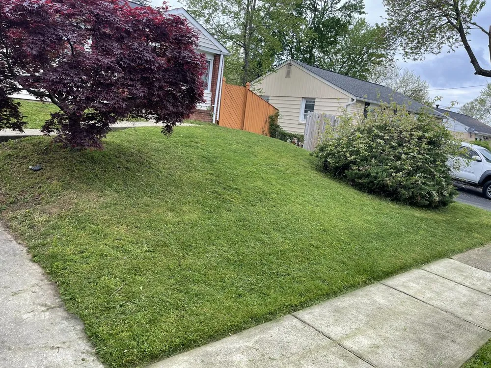 Professional lawn care service in Landover Hills, MD by SDG Multi Services