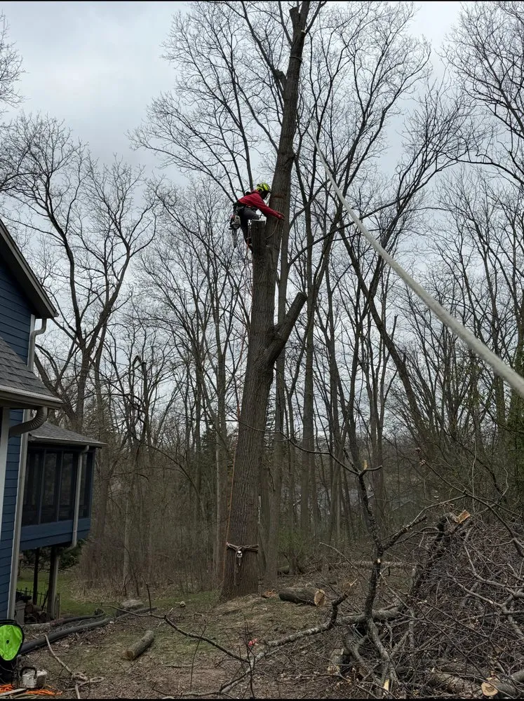 Custom landscaping services for outdoor upgrades in Greenfield, WI by SDL Landscaping