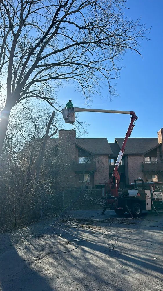 Top-rated landscape installation experts serving Greenfield, WI - SDL Landscaping