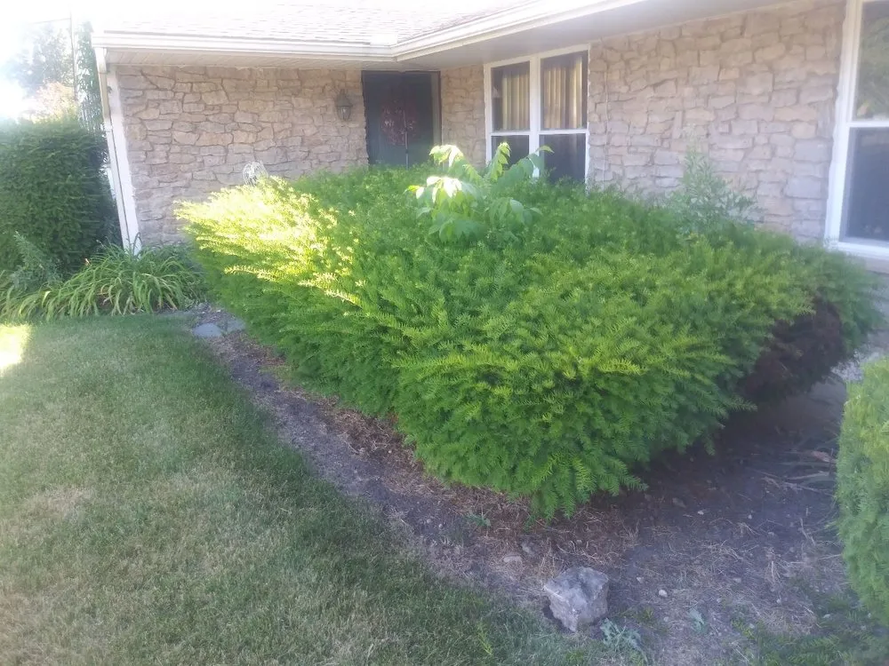 Top-rated residential landscaping in Dayton, OH - SDM Lawn Services