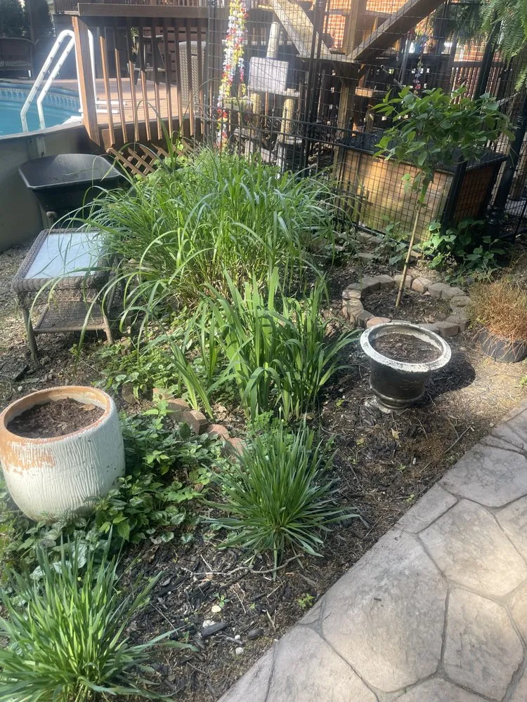 Expert landscape installation in Dayton, OH by SDM Lawn Services