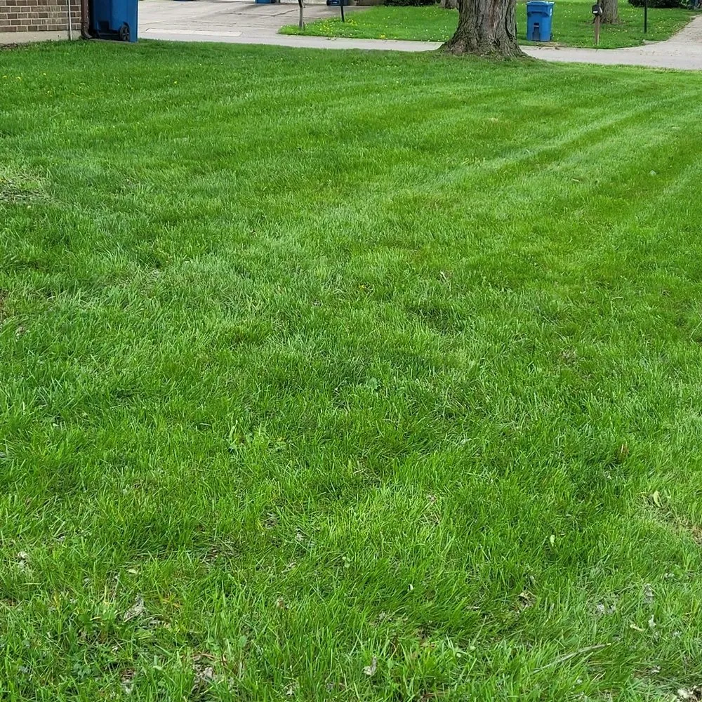 Expert landscape installation for homes in Dayton, OH by SDM Lawn Services